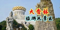 鸡吧插逼逼逼视频中国浙江-绍兴大香林旅游风景区